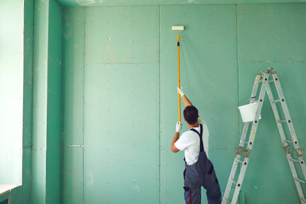 Best Water Damage & Mold Remediation  in Effingham, IL