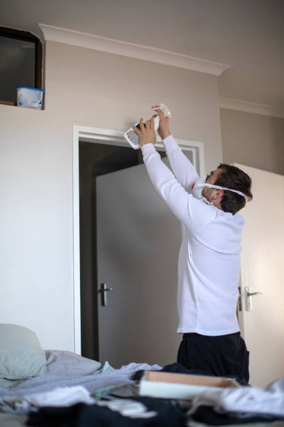  Effingham, IL Mold Removal Pros