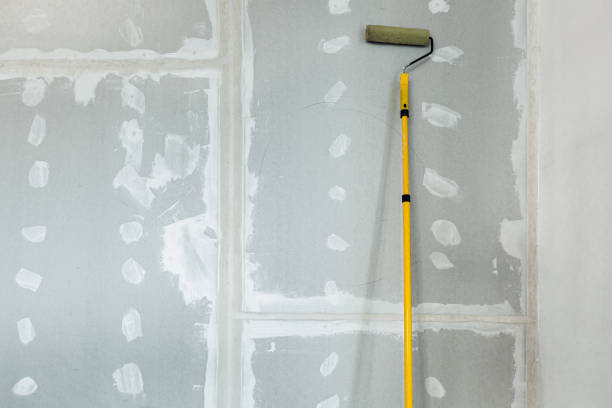 Best Mold Documentation for Insurance Claims  in Effingham, IL