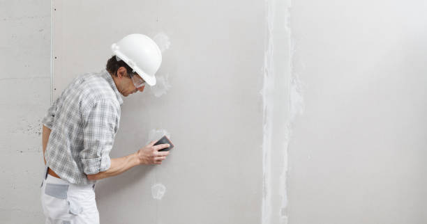 Best Mold-Related Health Consultation  in Effingham, IL