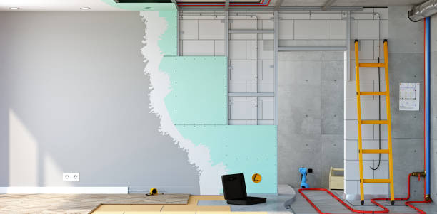 Best Basement Mold Removal  in Effingham, IL