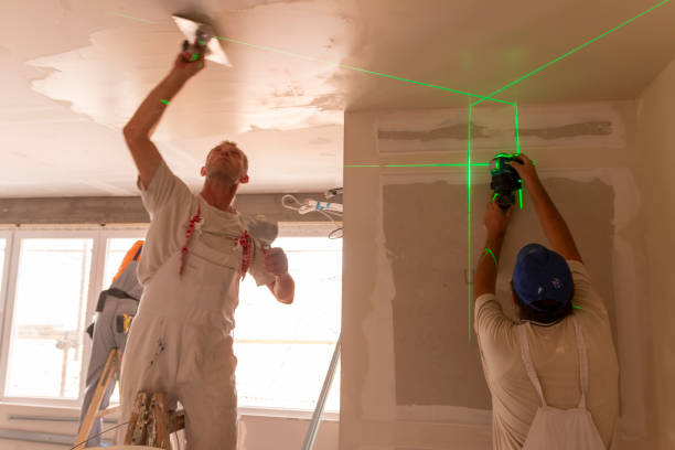 Best HVAC Mold Inspection and Cleaning  in Effingham, IL
