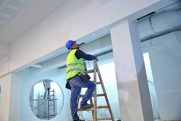 Best Industrial Mold Remediation  in Effingham, IL