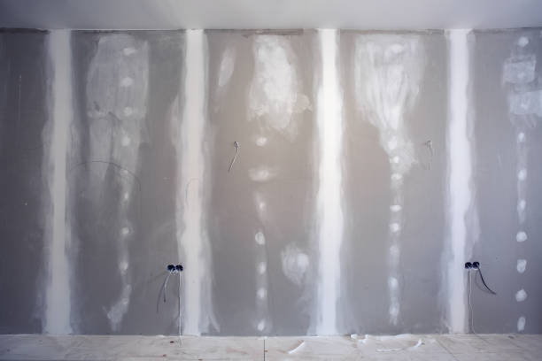 Best Residential Mold Inspection & Testing  in Effingham, IL